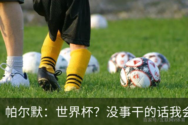 帕尔默：世界杯？没事干的话我会看看，我希望他们能走到最后